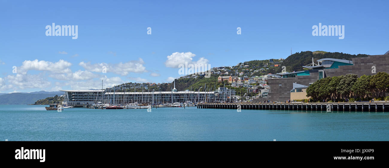 Wellington, New Zealand - November 18, 2016: Panoramic view of Wellington Harbour, Oriental Bay, Clyde Quay Wharf and Mount Wellington. In the foregro Stock Photo