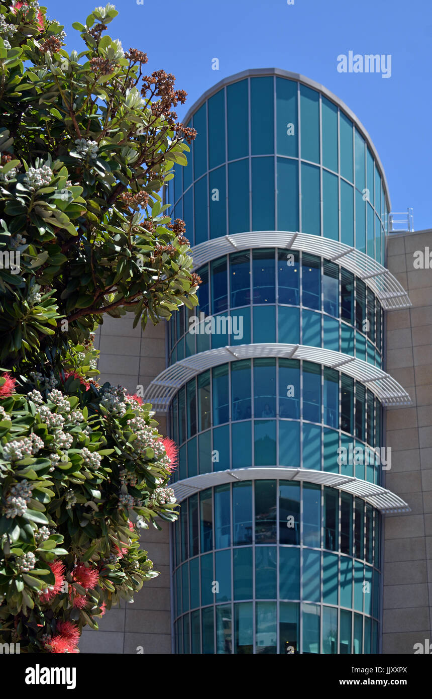 Detail of The New Zealand Te Papa Tongarewa Museum building in Wellington. In the foreground is New Zealand's national flower, Pohutukawa in early spr Stock Photo