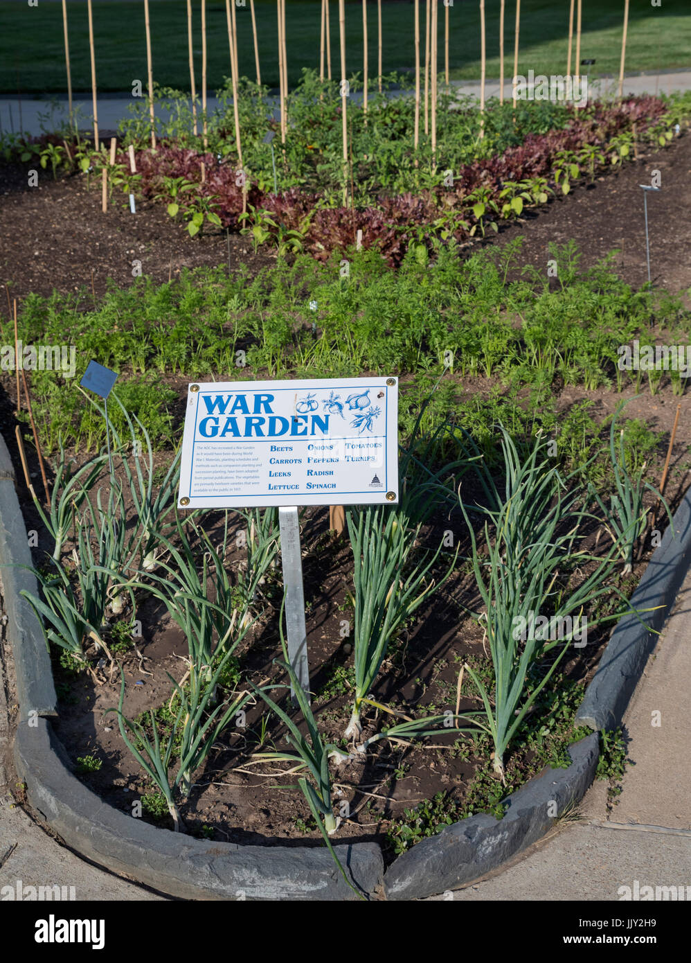 Washington, DC - A 'war garden' planted outside the Library of Congress similar to gardens planted during World War I. The garden was created by the A Stock Photo