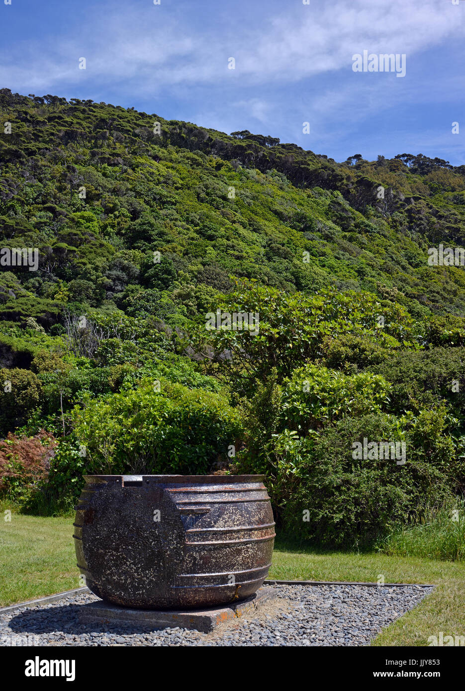 Historic Whaling Pot on Kapiti Island Bird Santuary, New Zealand. In the background is the pristine native bush. Stock Photo