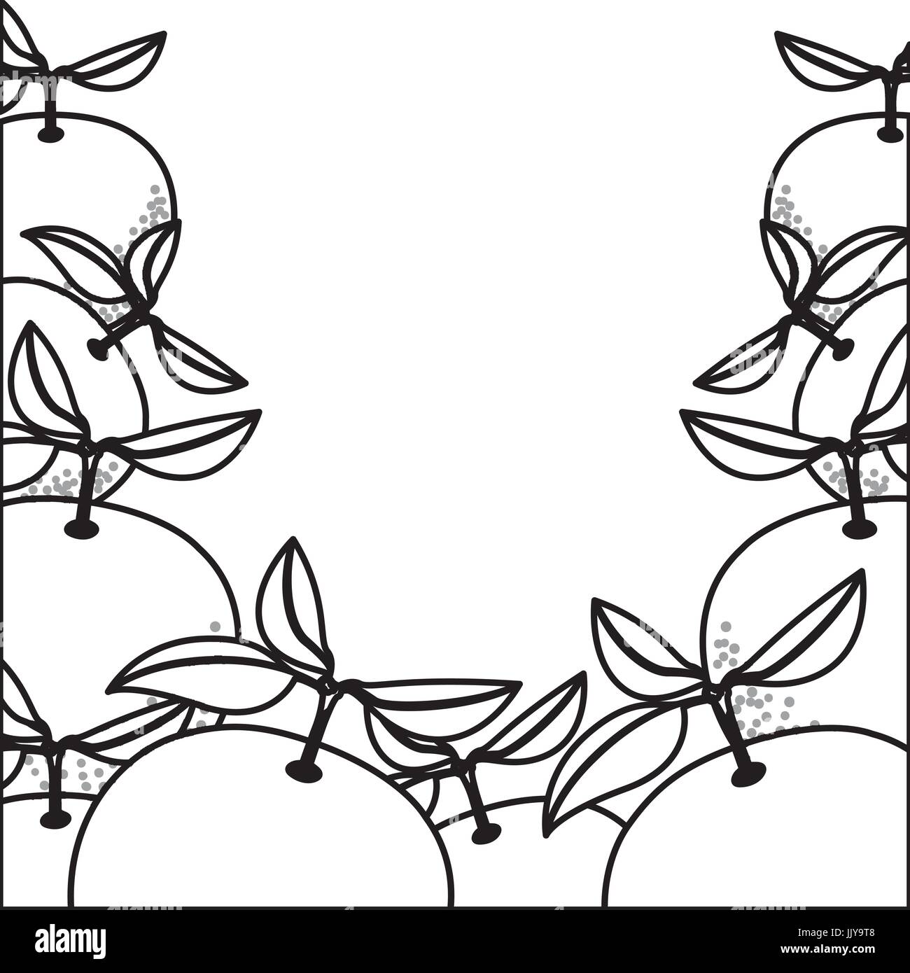 monochrome background with orange fruits Stock Vector Image & Art - Alamy