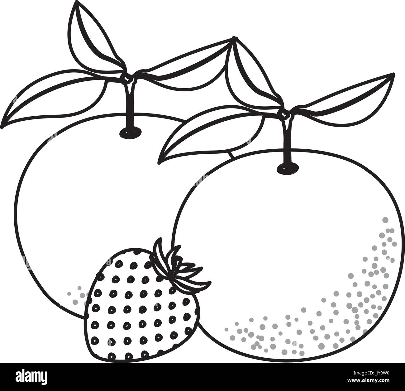 monochrome background with set of fruits orange and strawberry Stock ...