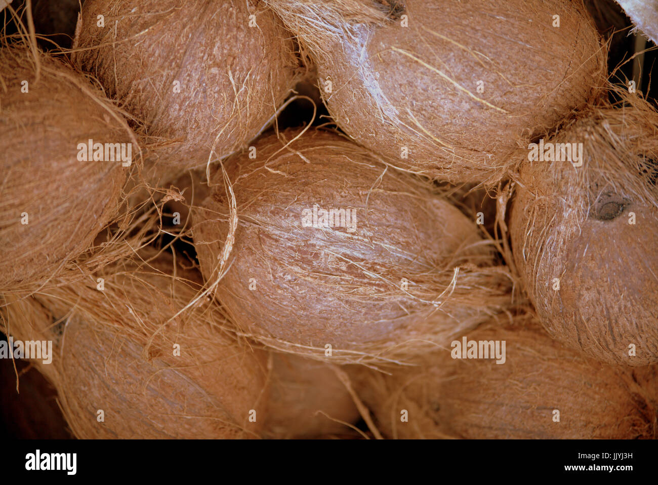 bunch of coconuts close up Stock Photo Alamy