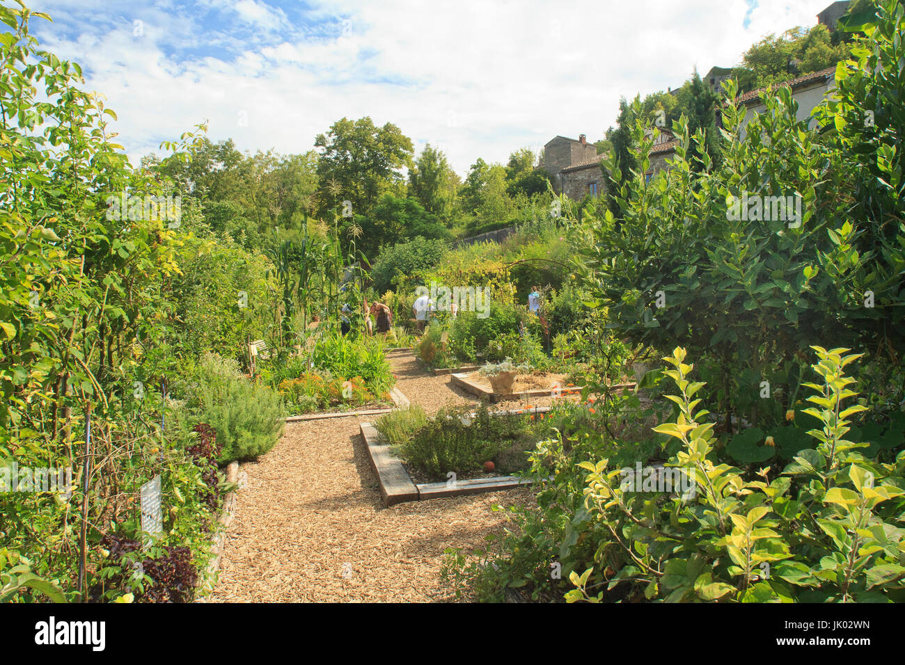 France, Tarn (81), Cordes-sur-Ciel, jardin des Paradis créé en 1998 par les architectes-paysagistes Eric Ossart et Arnaud Maurières, le potager médiév Stock Photo