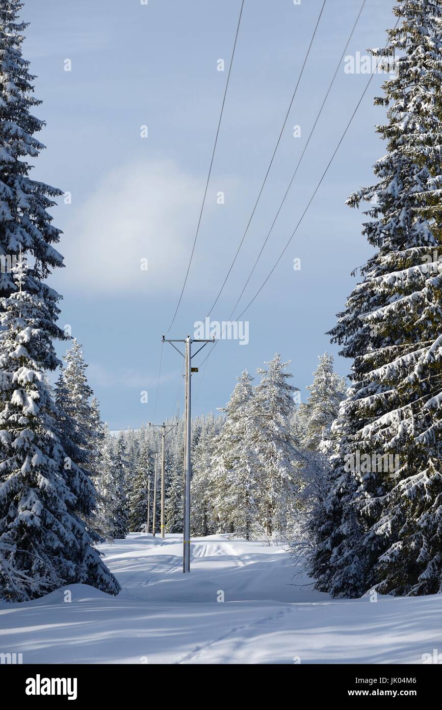 Winter landscape with power line Stock Photo - Alamy