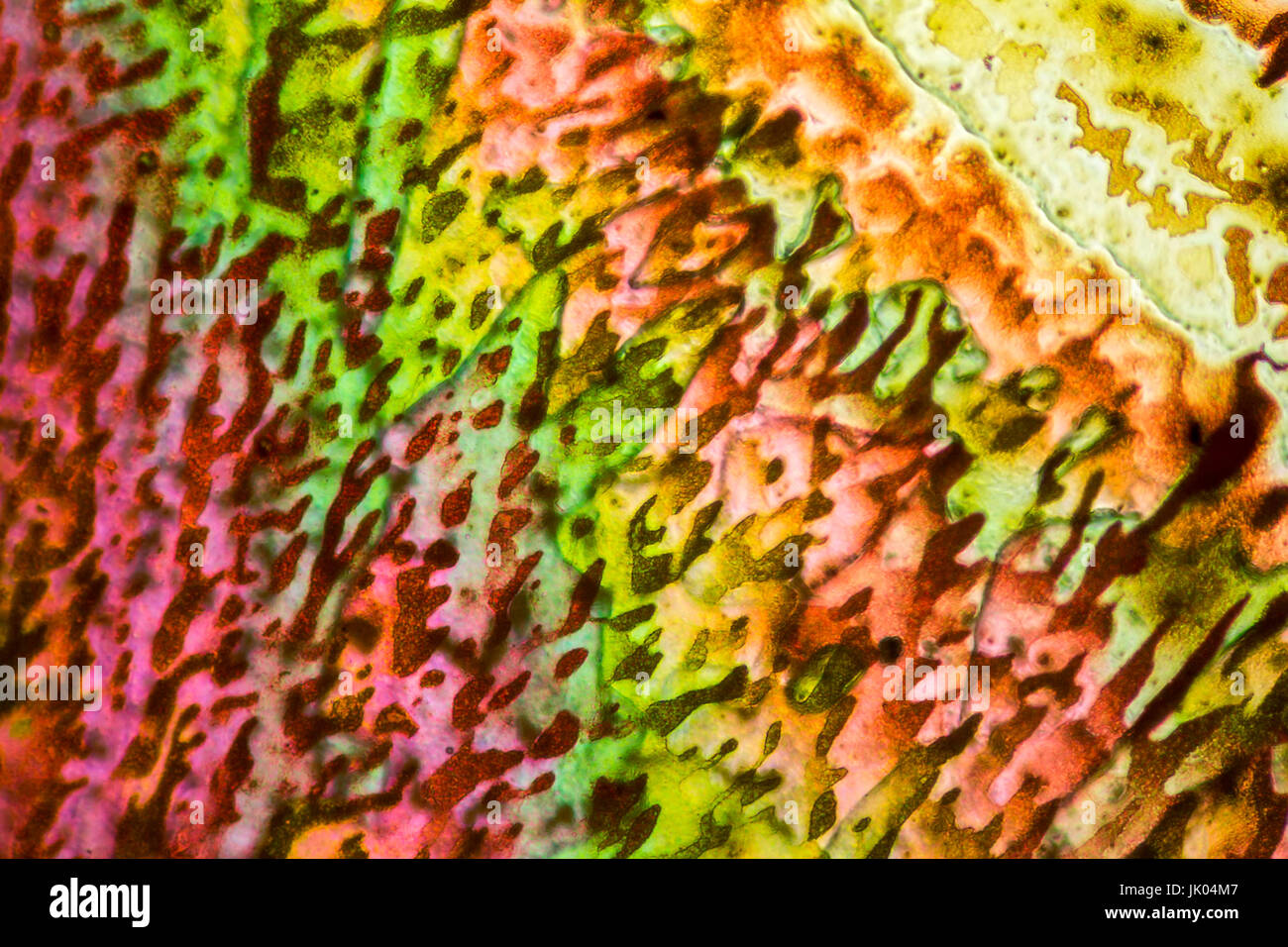 colorful microscopic shot of salt acid microcrystals in polarized light Stock Photo