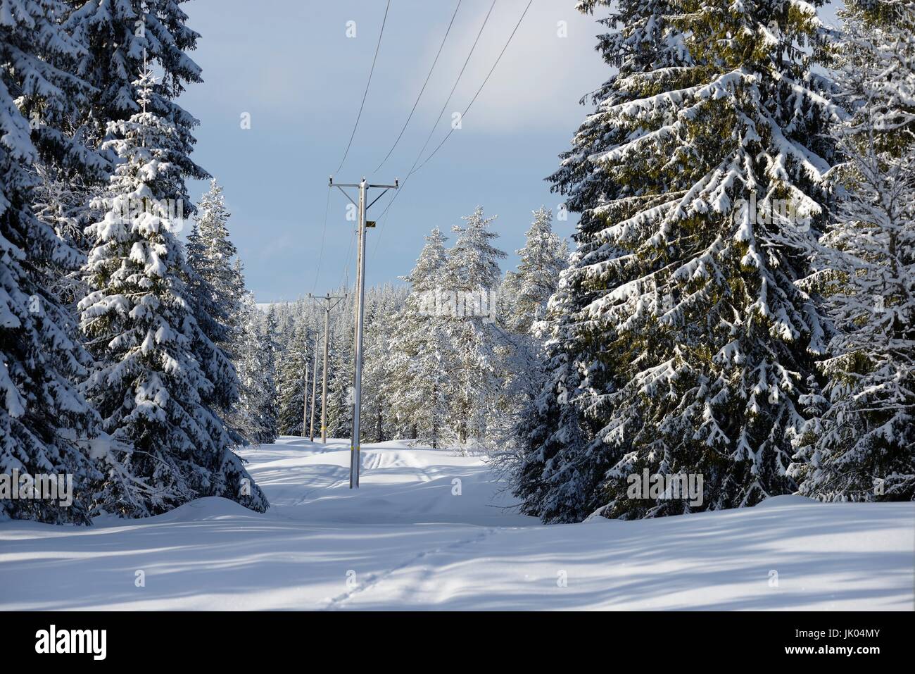 Winter landscape with power line Stock Photo - Alamy