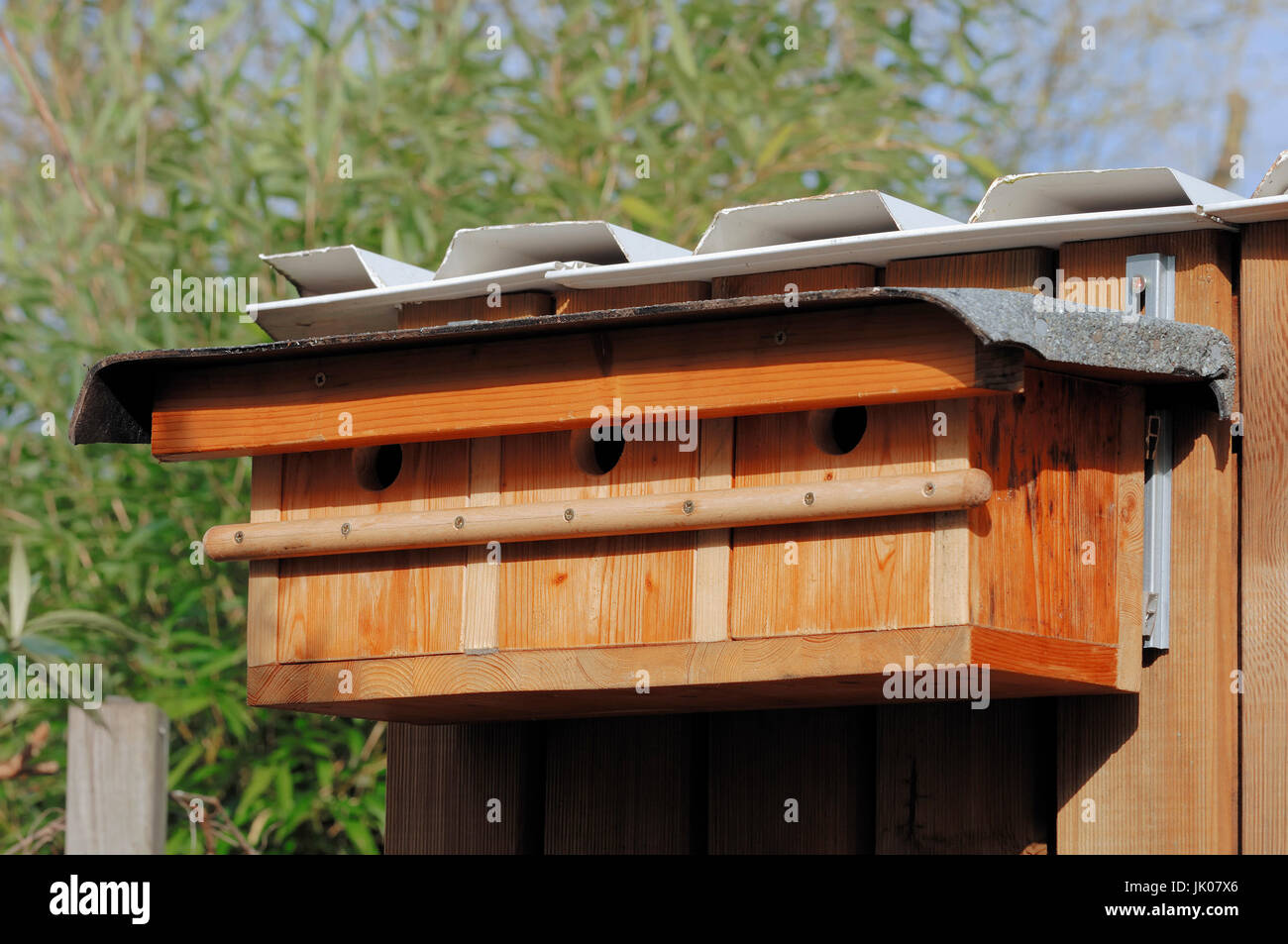 Nesting box for House Sparrows, North Rhine-Westphalia, Germany / House