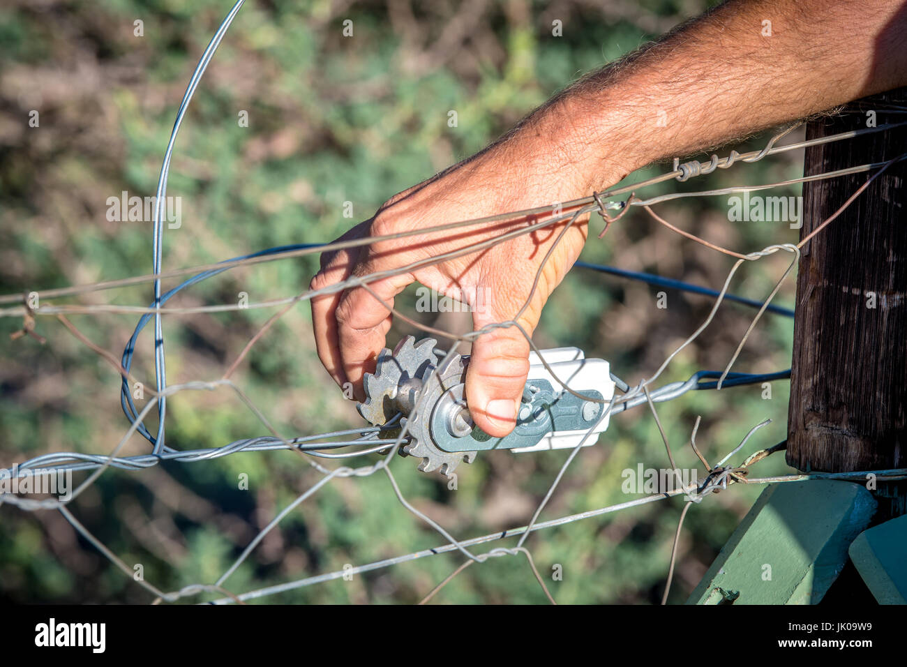 Farmer checking electric fence wire stretcher on fencing at Dabis Guest
