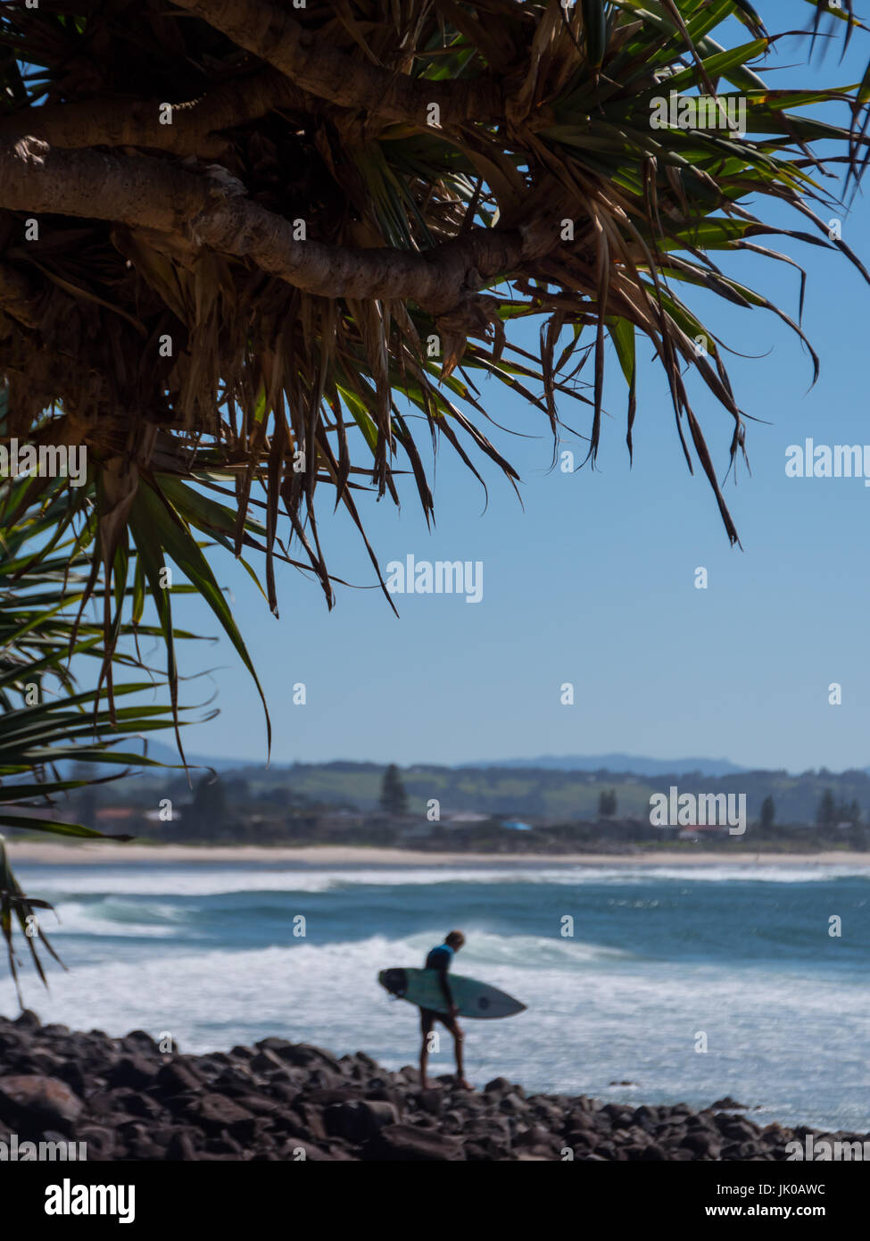 One Male Surfer walking on the Rocky Shoreline at Lennox Head to catch a Wave on the Point Surf Break Stock Photo