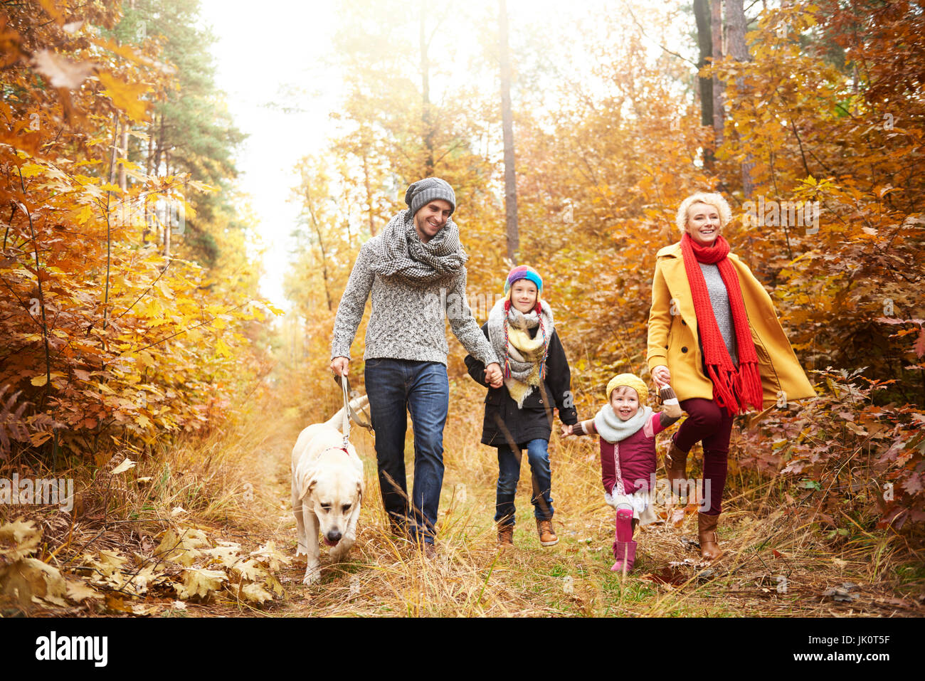 Family of four people walking a dog in forest Stock Photo