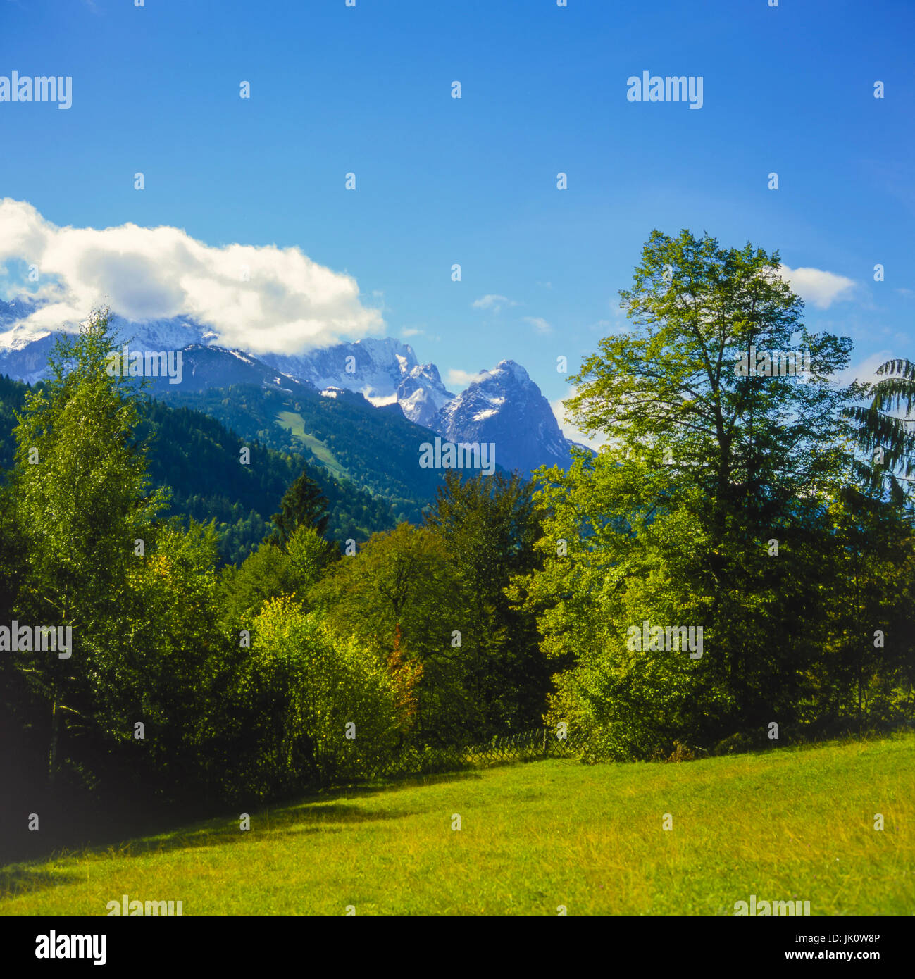 'spavin-summery mountain pasture and adjoining mountain mixed forest with look at the train spitz's massif and waxensteine. pasture in the bavarian of Stock Photo