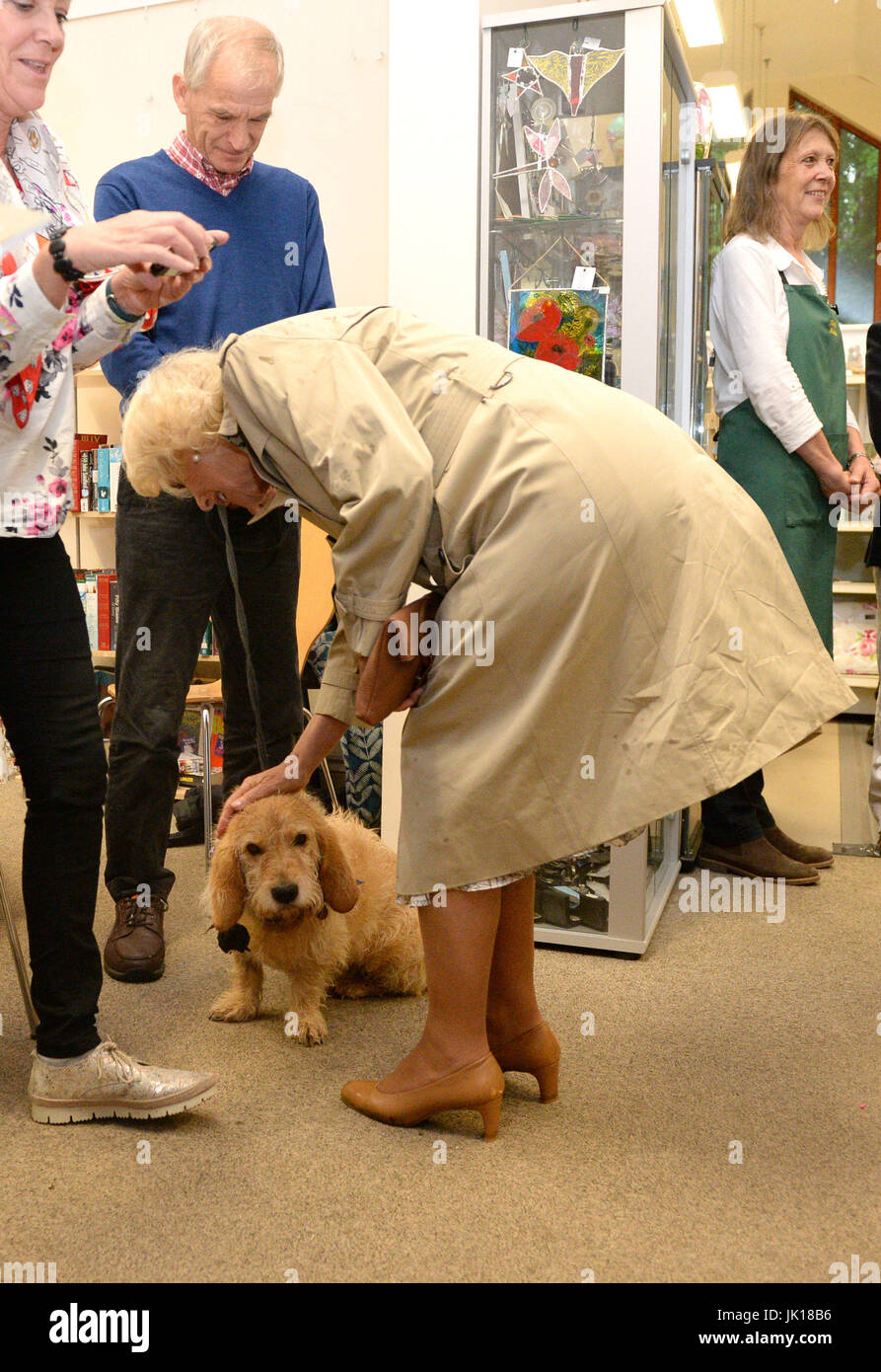 The Duchess of Cornwall meets Alfie, an 8-year-old French Basset dog, at the Post Office shop in Blisland, Cornwall. Stock Photo