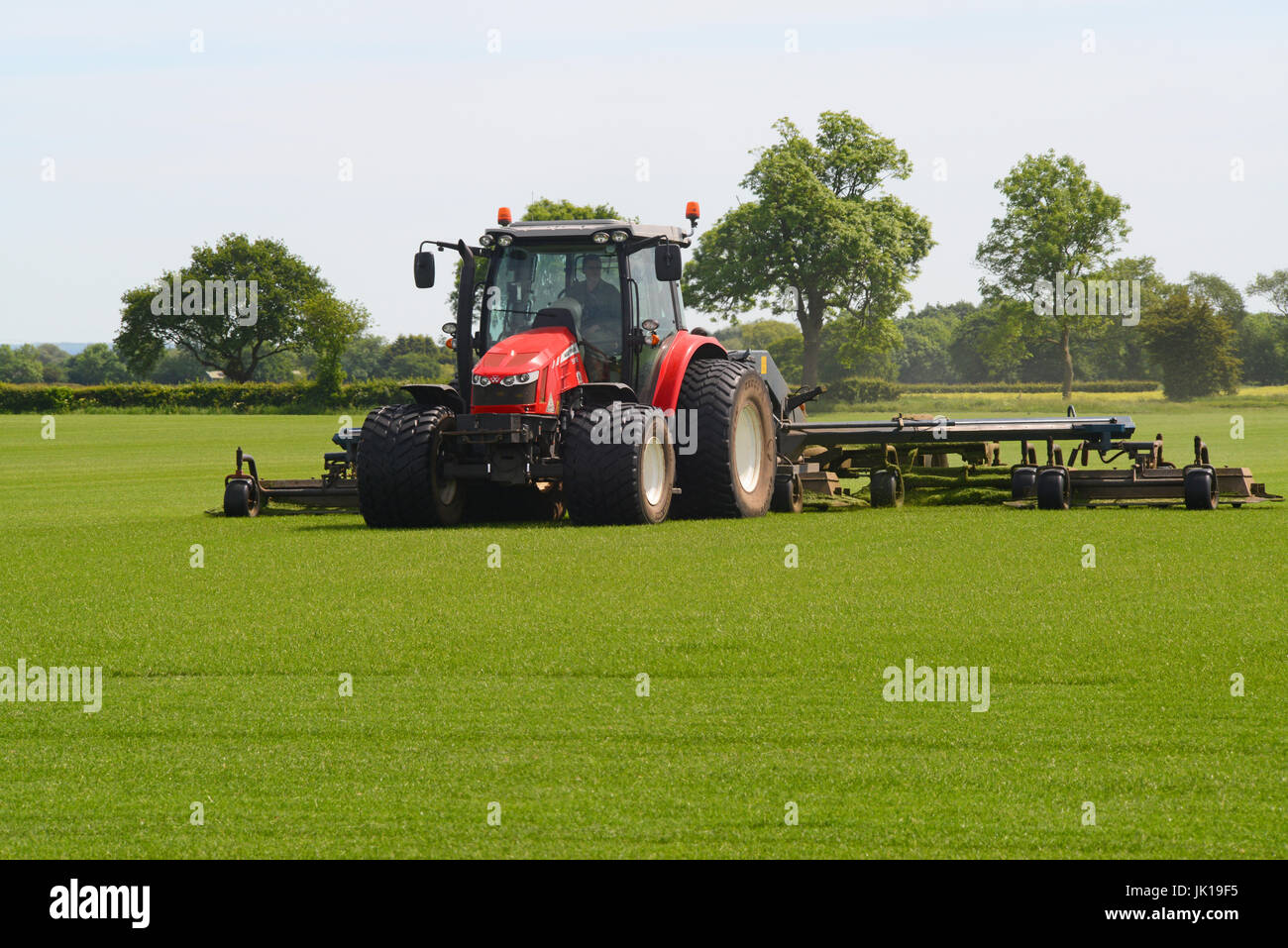 tractor cutting field of turf for gardens ellerton yorkshire united kingdom Stock Photo