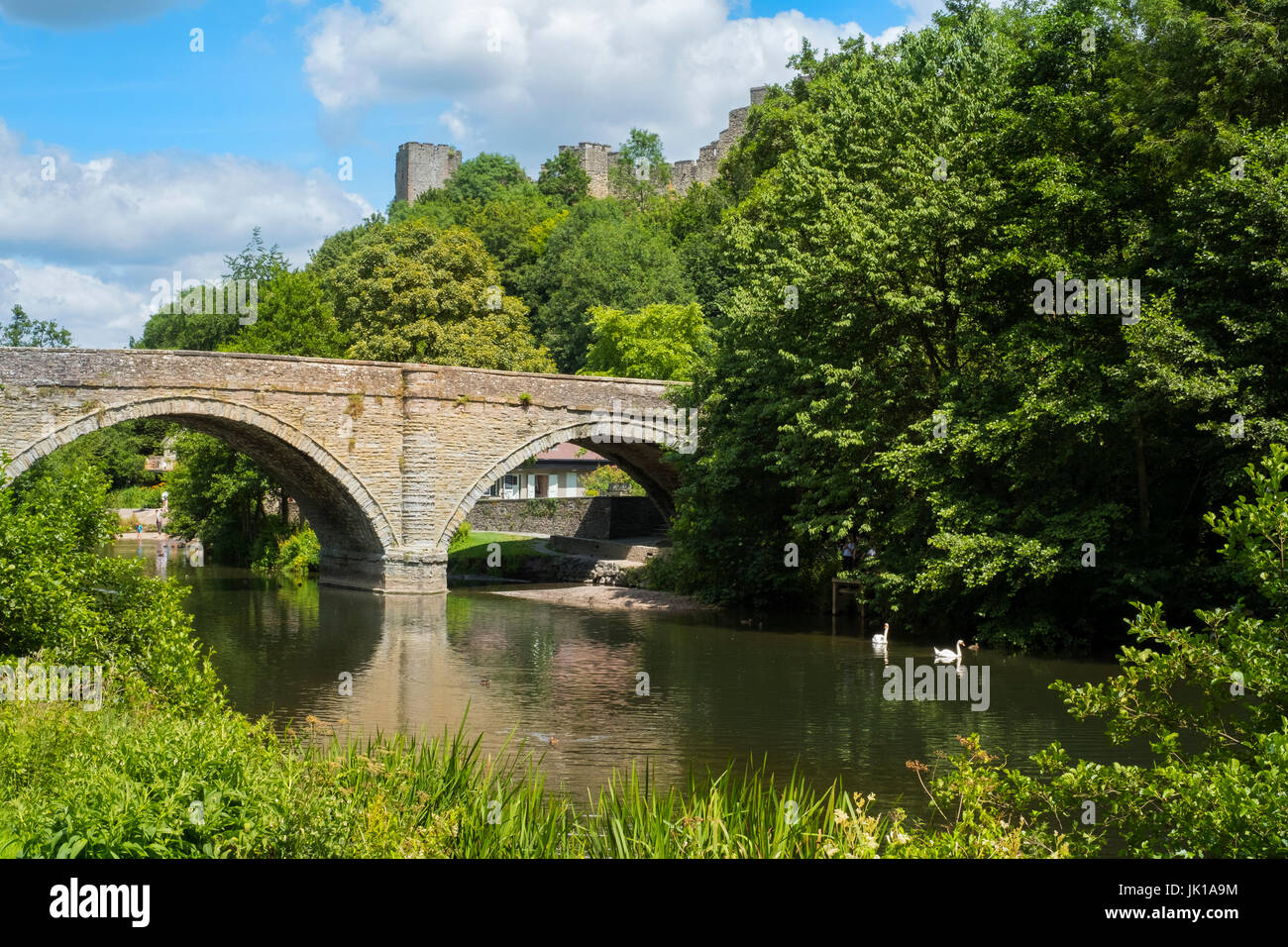 Dinham Bridge and River Teme overlooked by Ludlow Castle, Shropshire, England, UK Stock Photo