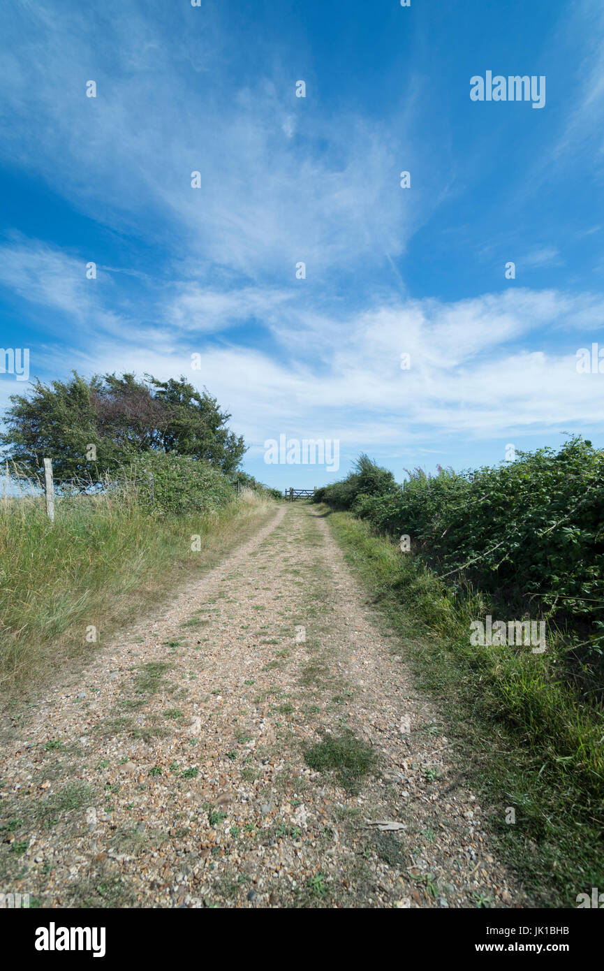 narrow gravel lane with hedgerows either side. Footpath, cycle path, Stock Photo