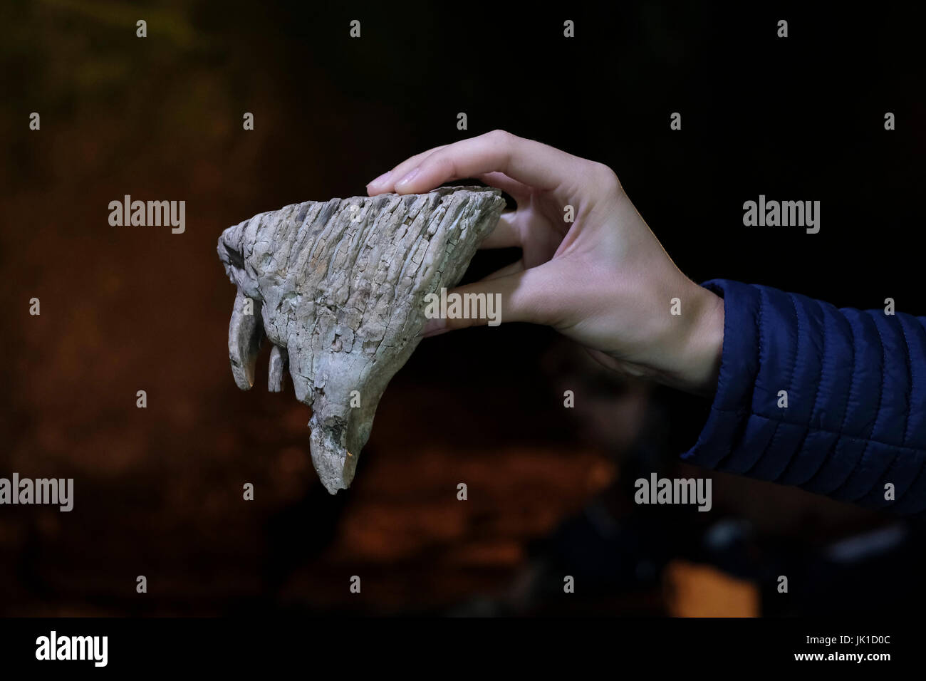 Denisova hires stock photography and images Alamy