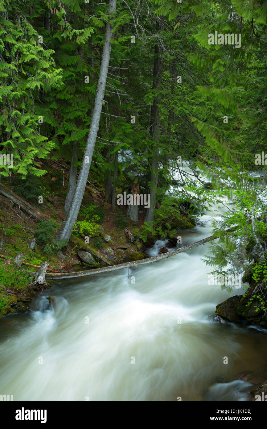 Myrtle Creek, Kaniksu National Forest, Idaho Stock Photo Alamy