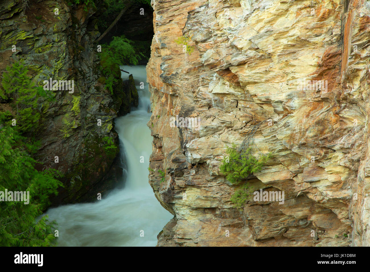 Myrtle Creek Falls, Kaniksu National Forest, Idaho Stock Photo Alamy