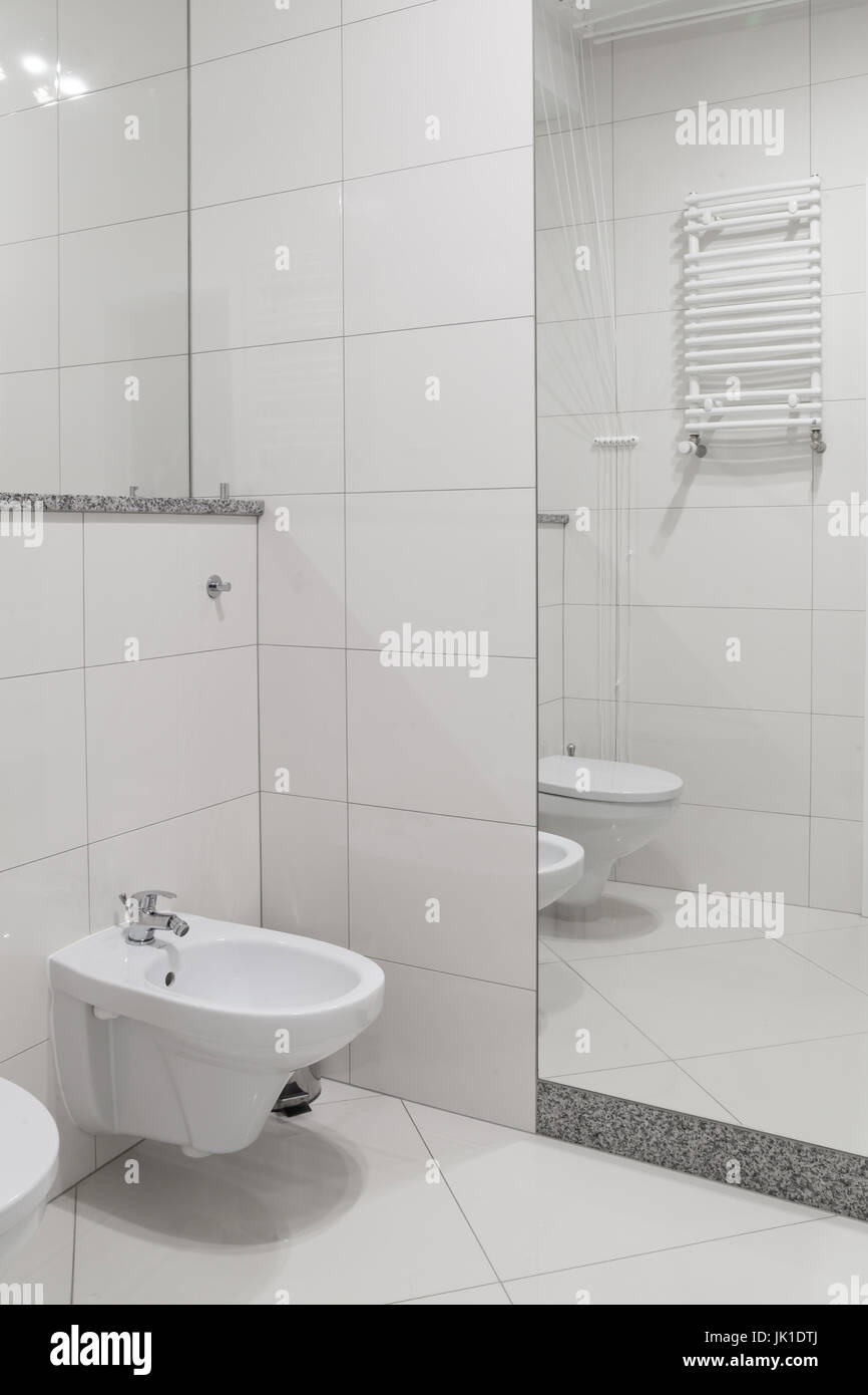 Luxury bathroom -  bidet Stock Photo