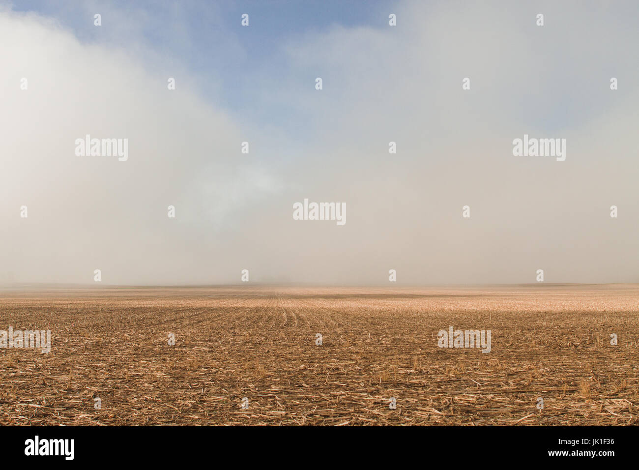 Field with low fog breaking up for blue skies in the spring Stock Photo