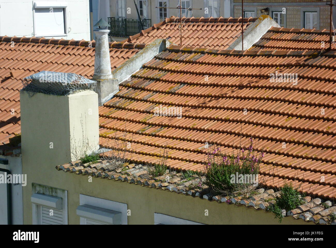 Arame farpado hi-res stock photography and images - Alamy, image size:1300x958