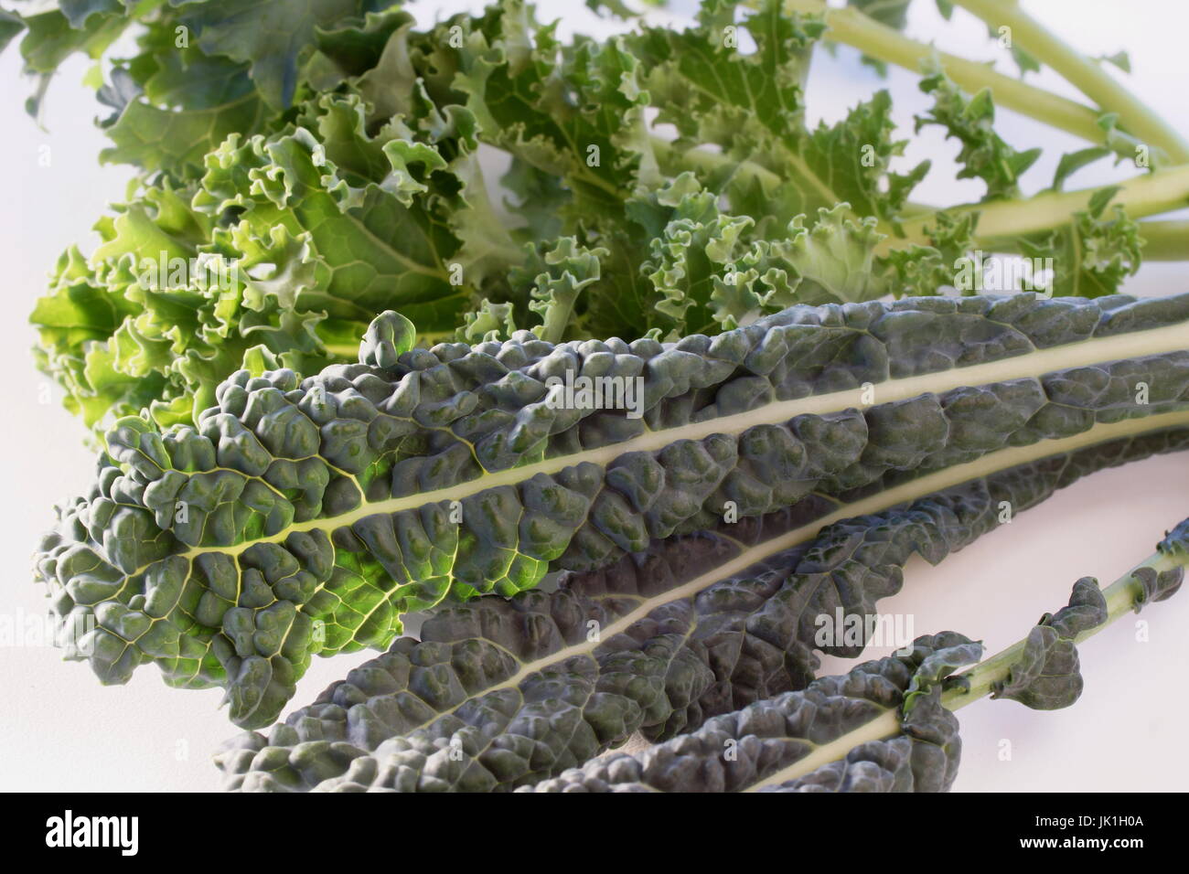Popular kale varieties,  Tuscan kale end Blue Curled Vates Kale on a white background Stock Photo
