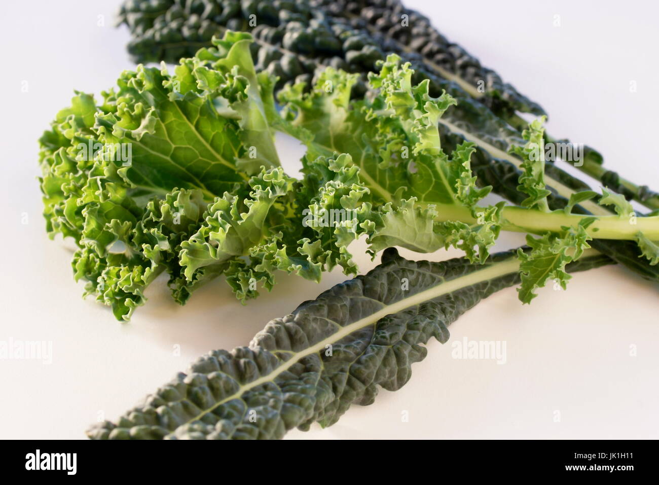 Popular kale varieties, Blue Curled Vates Kale end  Tuscan kale on a white background Stock Photo