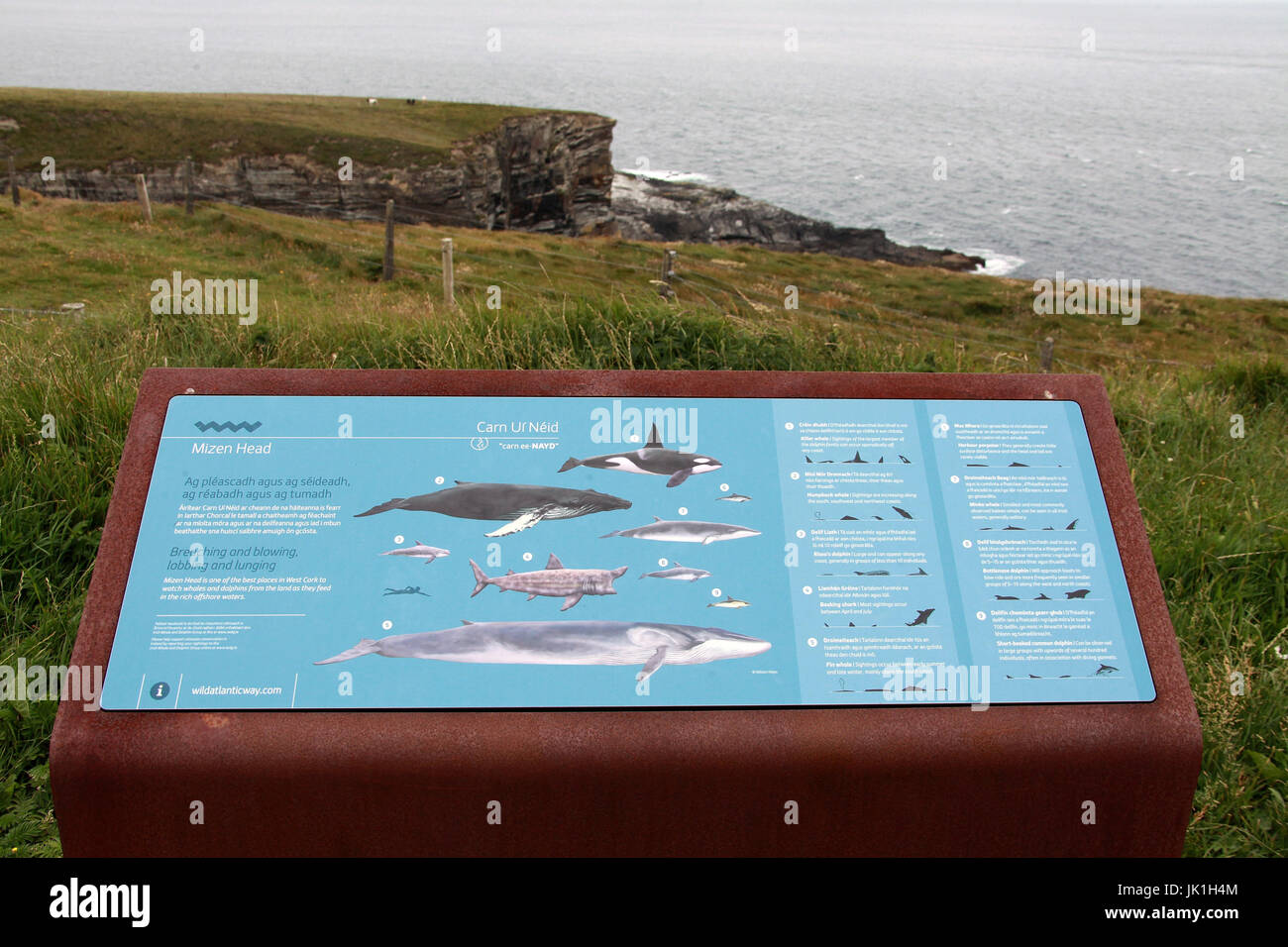 Tourist information board at Mizen Head for whale watchers Stock Photo