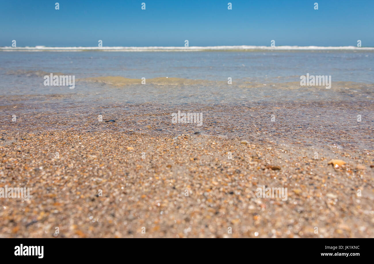 Pristine, empty beach on Amelia Island where waves gently lap along the shell covered shoreline in Fernandina Beach, Florida. (USA) Stock Photo