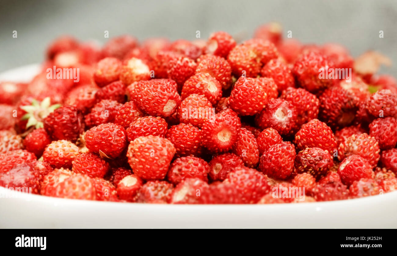 Ripe wild strawberry in white plate close Stock Photo - Alamy