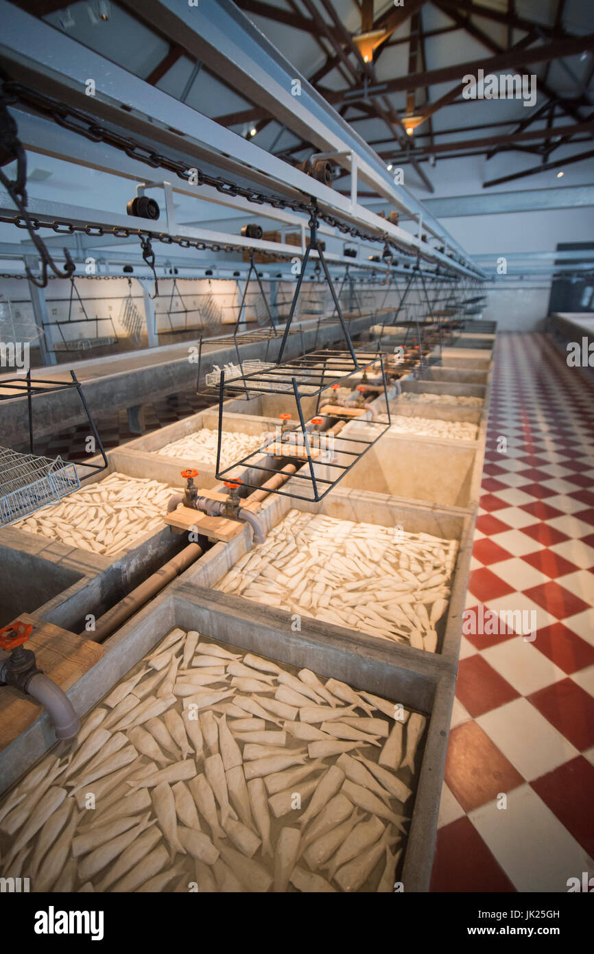 the Museu de Portimao and old Factory of sardines Fish can factory Fabrica de conservas la rose