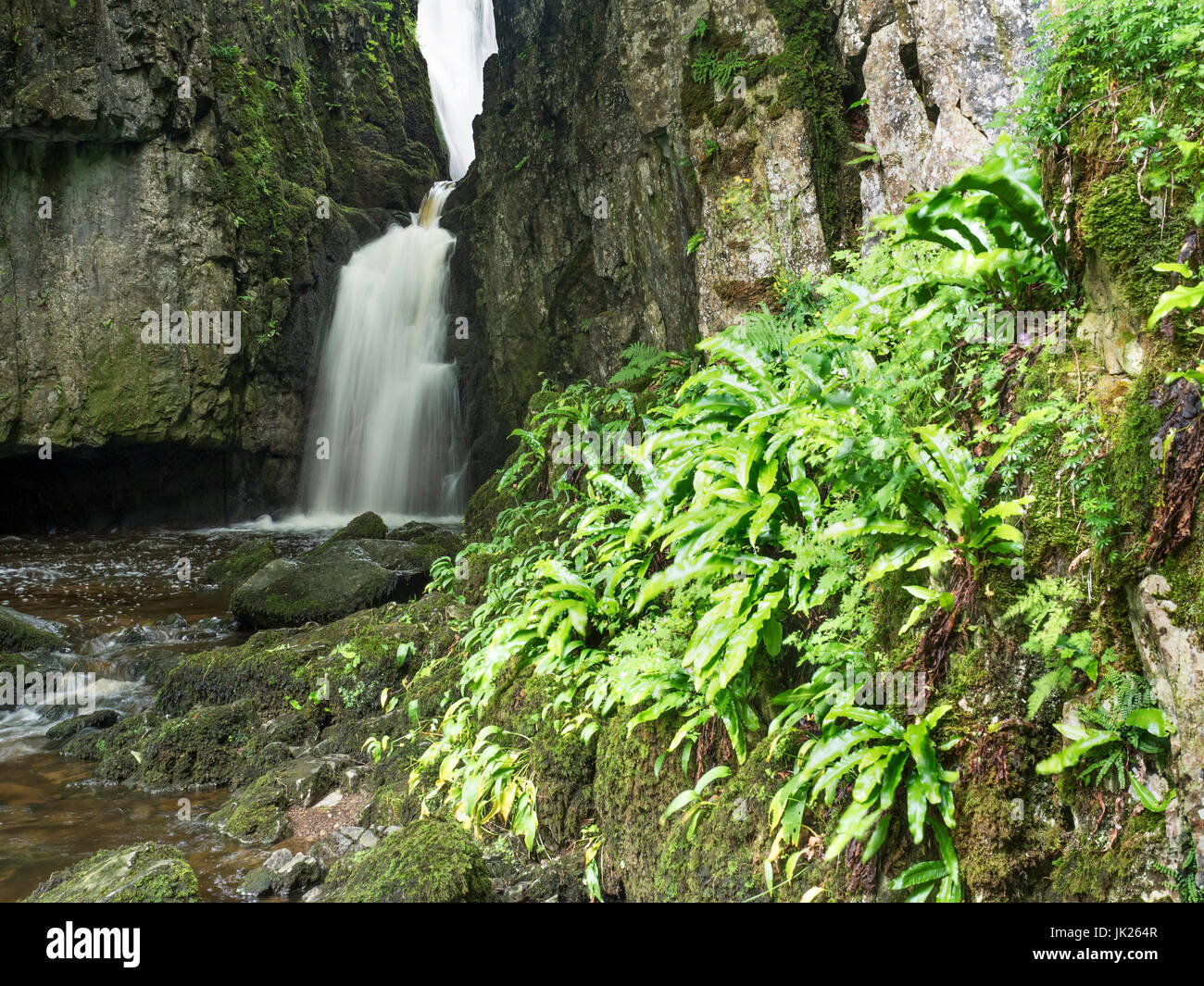 Catrigg Force Waterfall near Stainforth in Ribblesdale Yorkshire Dales