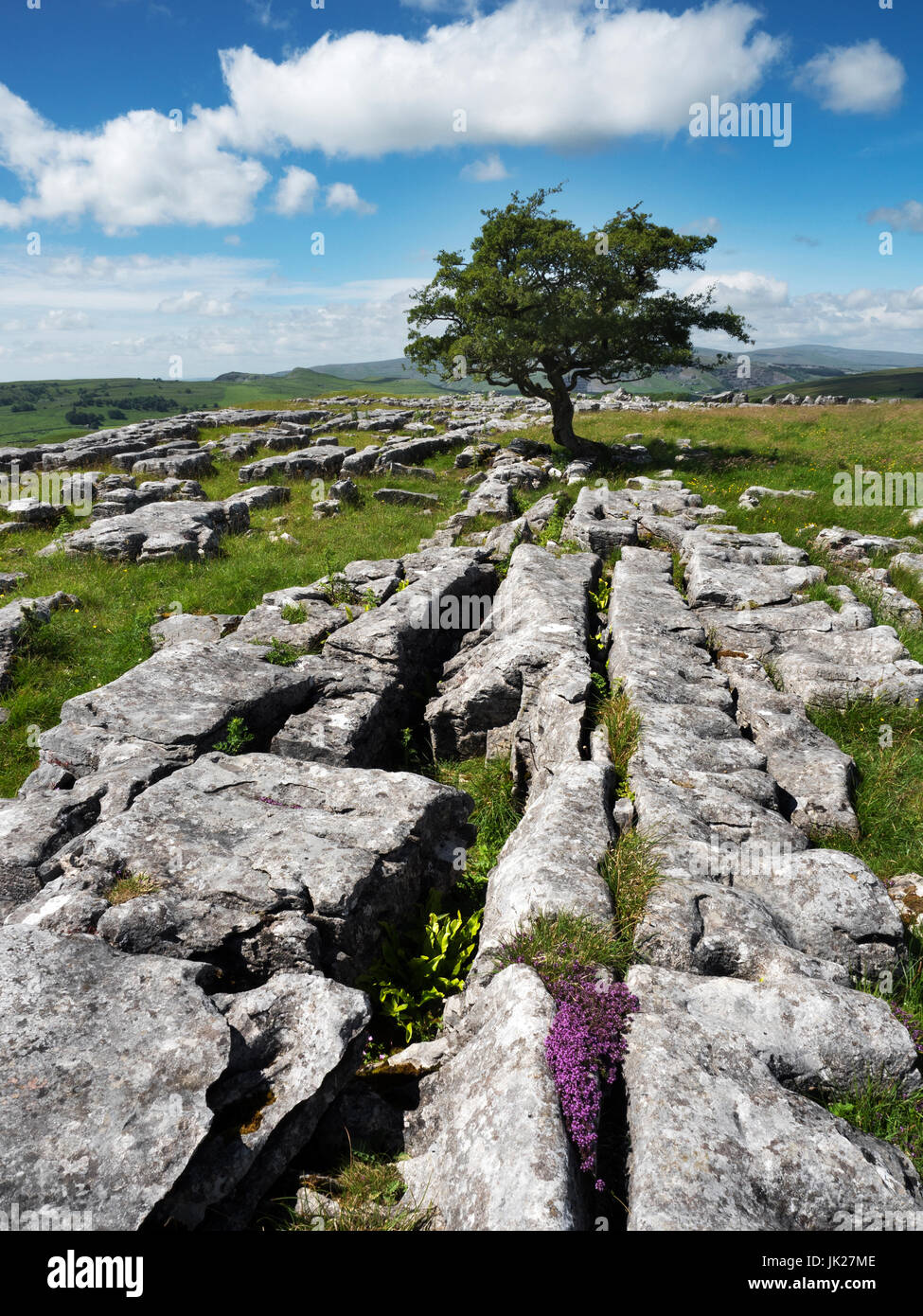 Ribblesdale limestone hi-res stock photography and images - Alamy