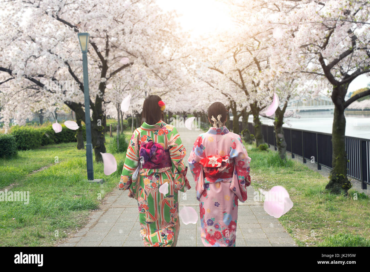 Couple asian women wearing traditional japanese kimono in sakura garden in Osaka, Japan. Stock Photo