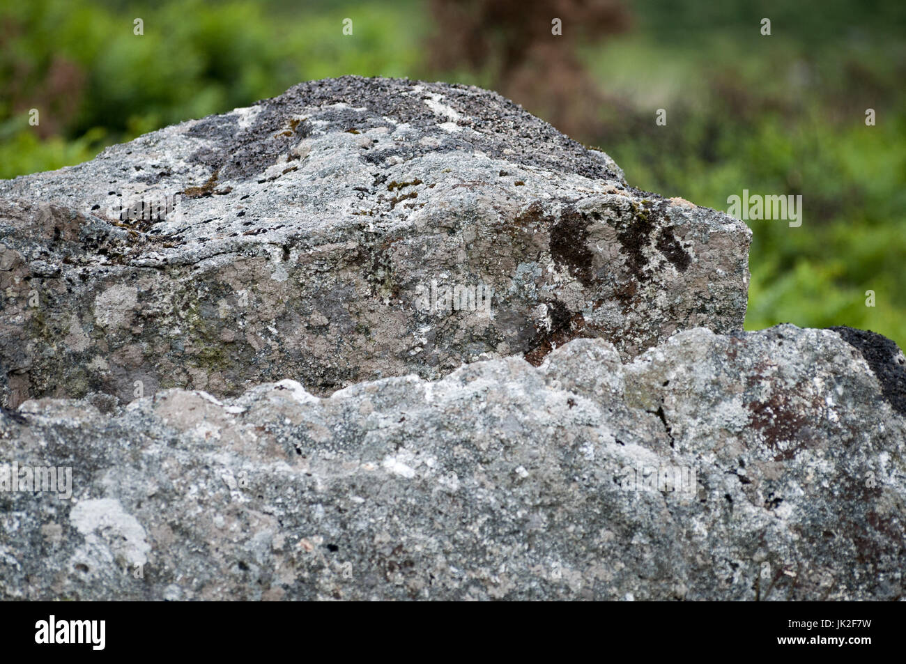 Granite rock on Dartmoor showing the marks left by feather and tare Stock Photo