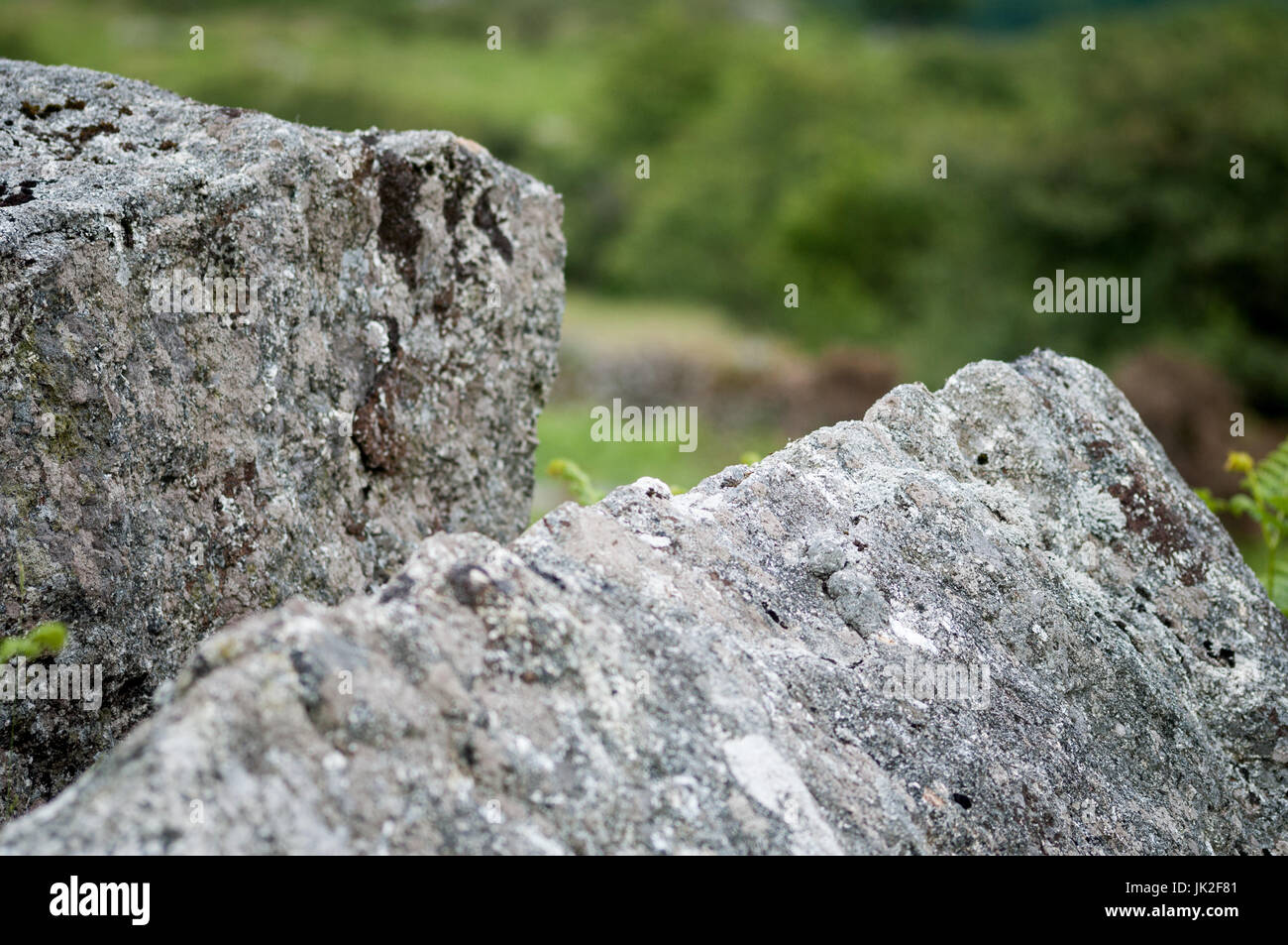 Granite rock on Dartmoor showing the marks left by feather and tare Stock Photo