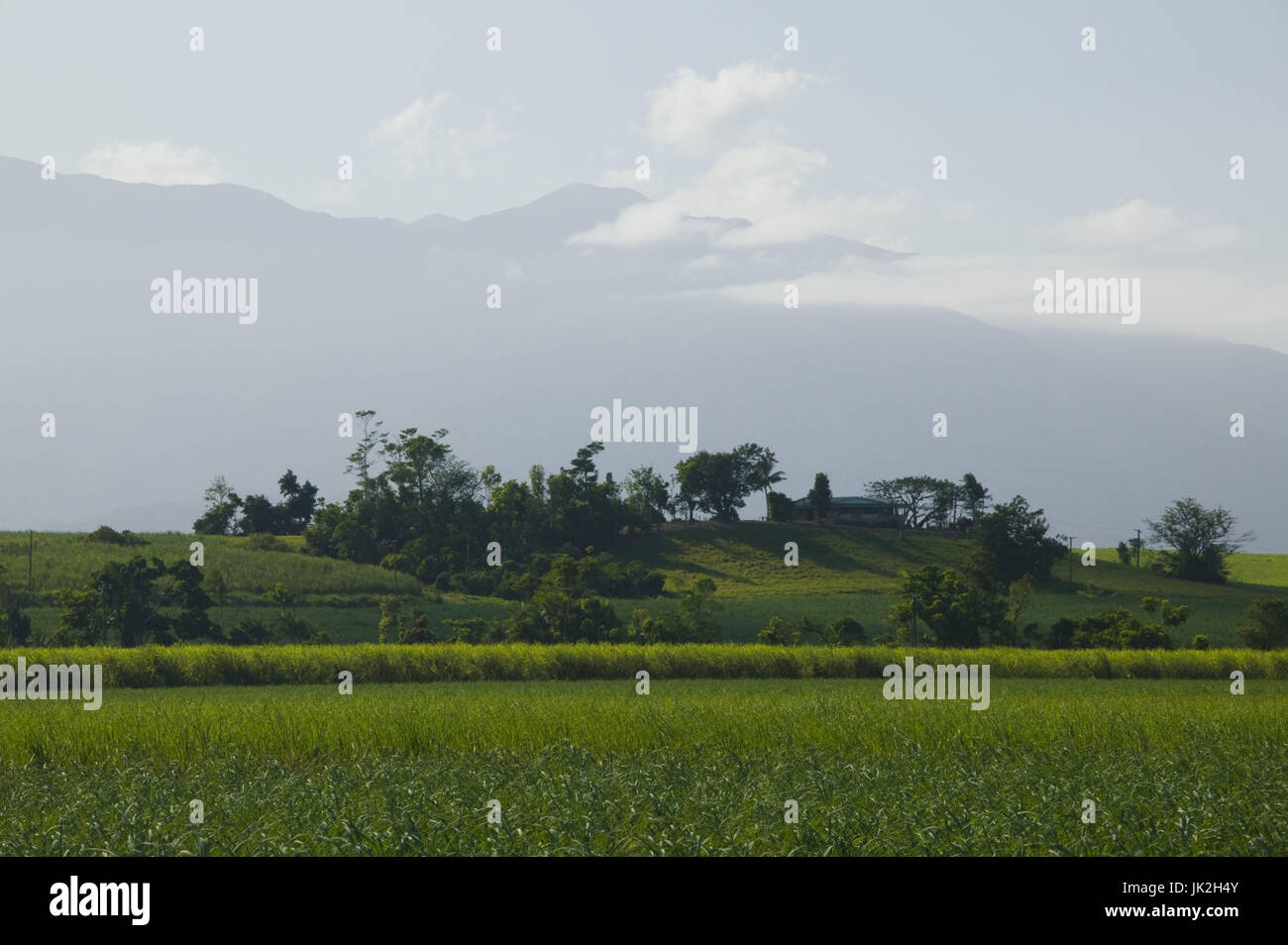 Australia, Queensland, North Coast, Babinda, Distant View of Bartle Frere, Queensland's Highest Mountain, e. 1622 meters, Stock Photo