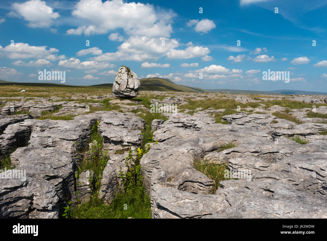 A glacial erratic in the Yorkshire dales with Whernside in the background Stock Photo