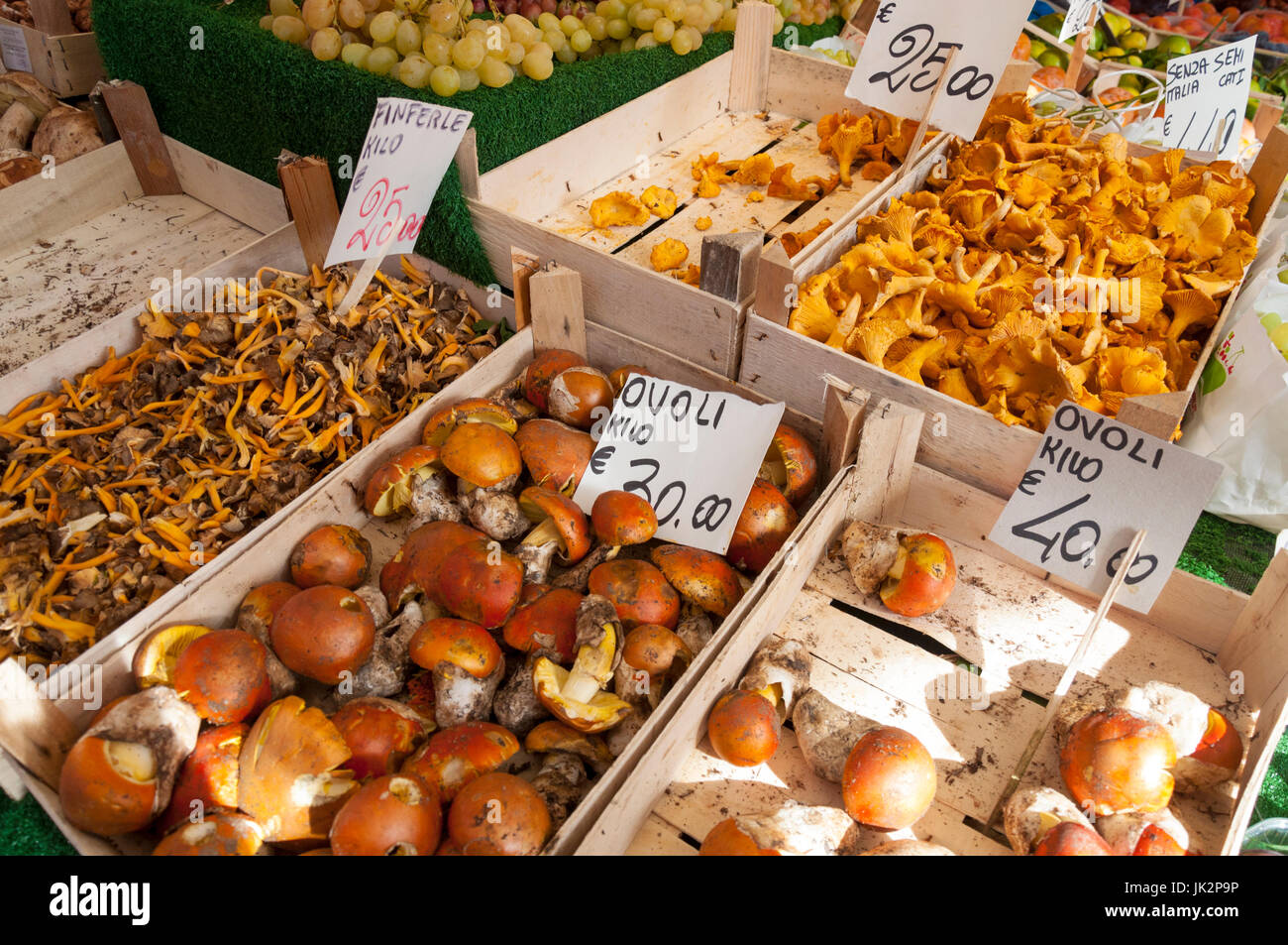 Varieties of wild mushrooms on sale at Rialto market in Venice Italy Stock Photo