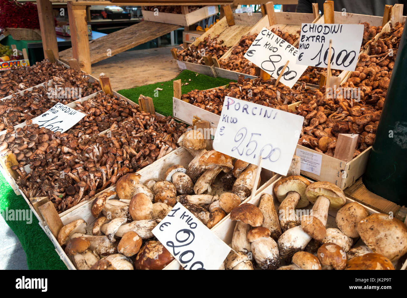 Varieties of wild mushrooms on sale at Rialto market in Venice Italy Stock Photo