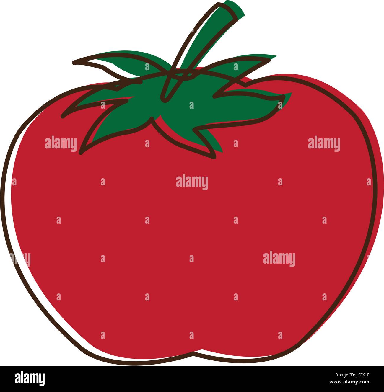 tomato vegetable from the farm organic food Stock Vector Image & Art ...