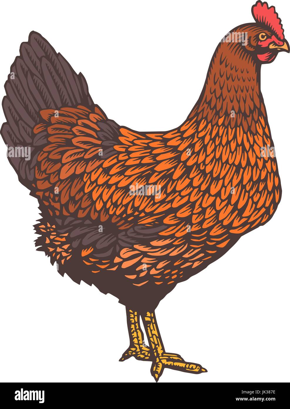 Hen Clipart PNG Images, Vector Painted Old Hen, Hen Clipart, Vector, Hand  Painted PNG Image For Free Download