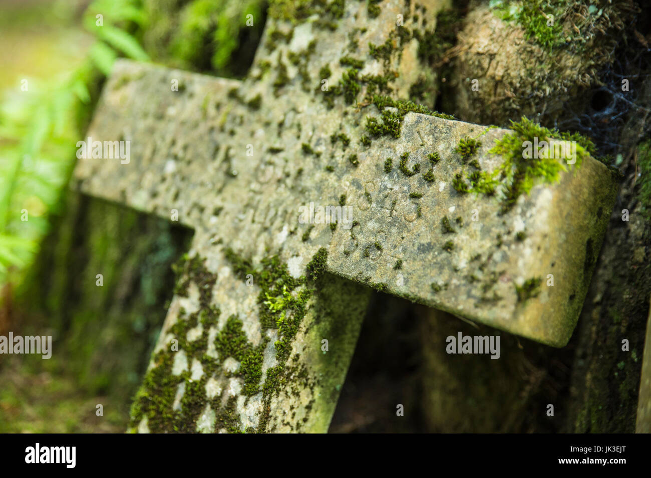 Old overgrown headstones in a German forest cemetery Stock Photo - Alamy