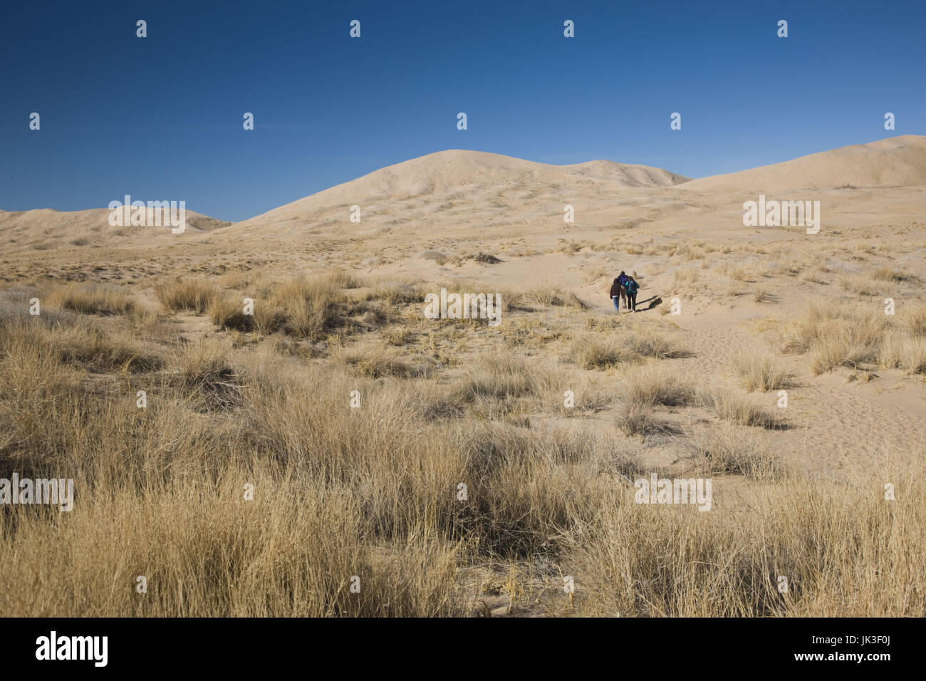 USA, California, Kelso, Mojave National Preserve, Kelso Dunes landscape Stock Photo