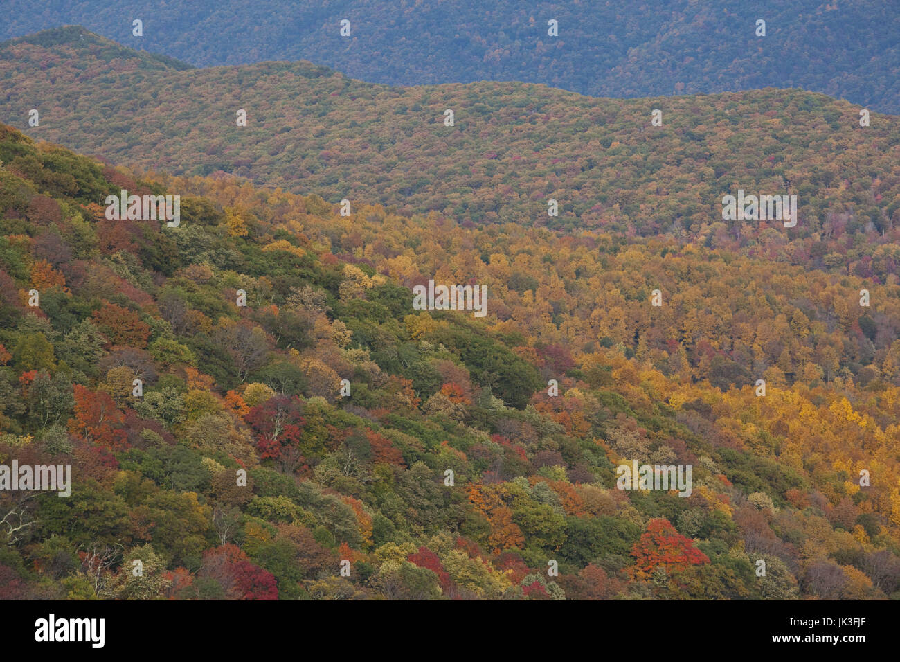 USA, West Virginia, Seneca Rocks, Spruce KnobSeneca Rocks National