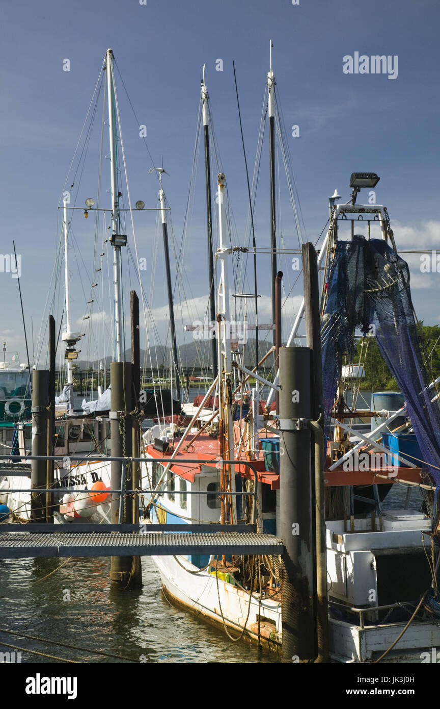 Australia, Queensland, North Coast, Innisfail, Fishing Fleet on the Johnstone River, Stock Photo