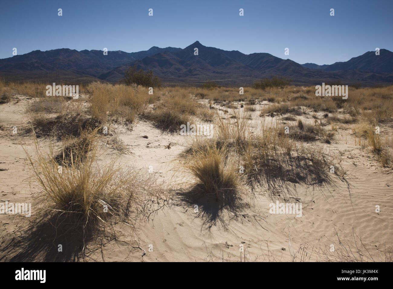 USA, California, Kelso, Mojave National Preserve, Kelso Dunes landscape Stock Photo