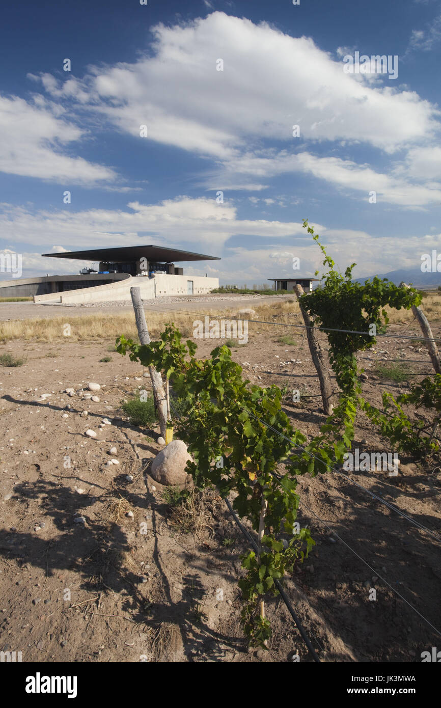 Argentina, Mendoza Province, San Carlos, Bodega O. Fournier boutique winery, view from the vineyards Stock Photo