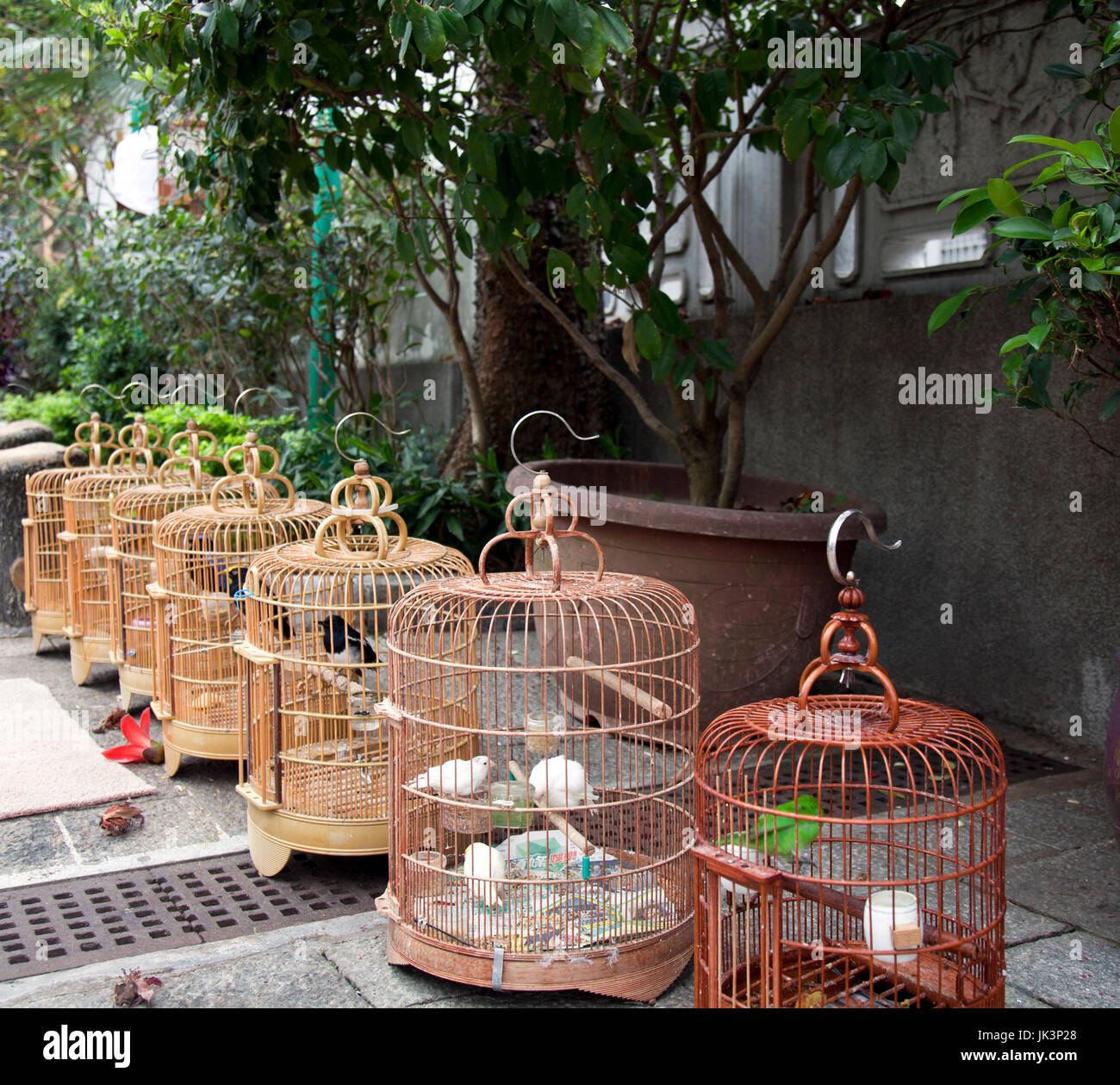 Birds in cages for sale at entrance to the Bird Market, Hong Kong